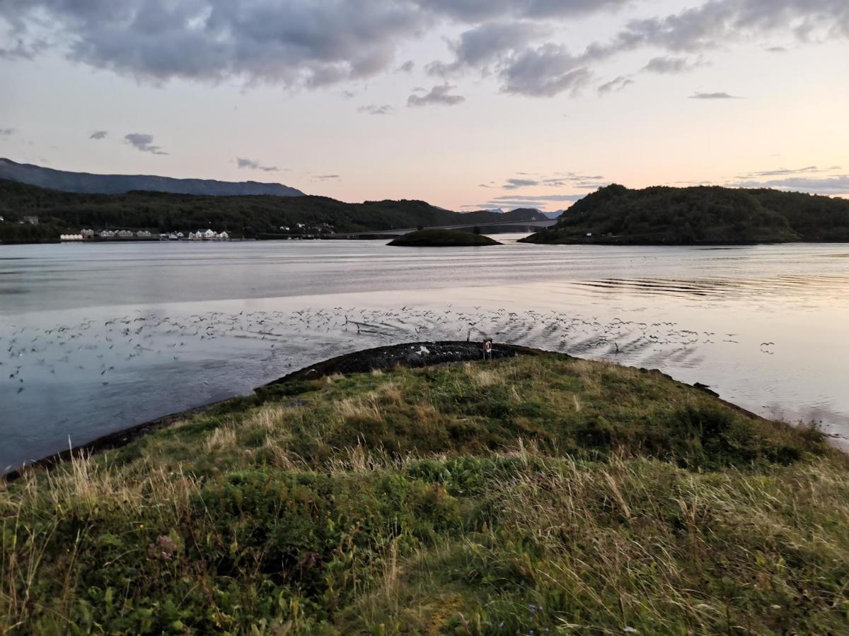 Sokkelleilighet Rett Ved Saltstraumen Bodo Exterior photo